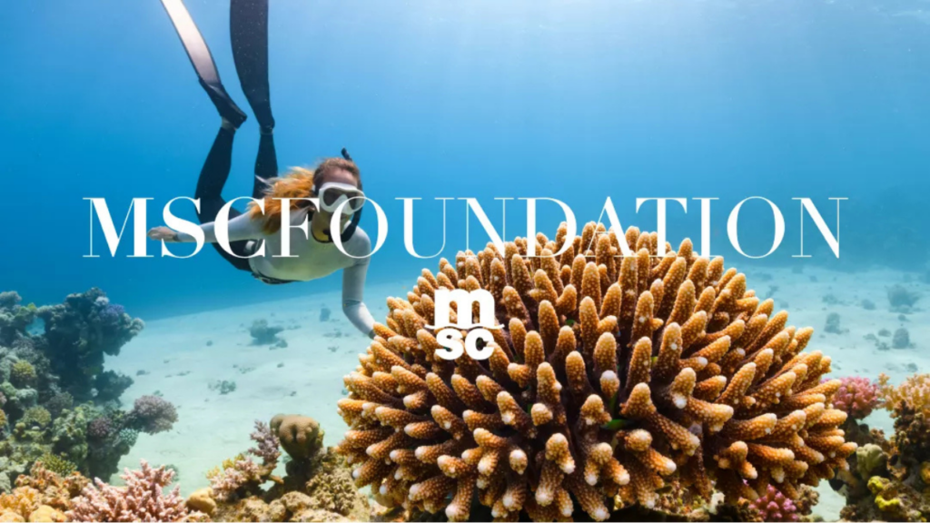 Supporting corporate sustainability leadership