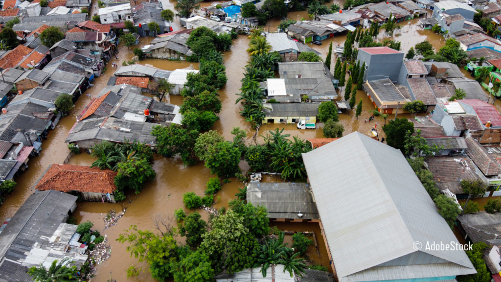 Understanding the toll of the climate crisis