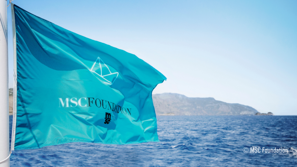 Supporting corporate sustainability leadership